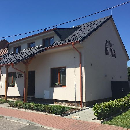 Penzion Hermina Veselí nad Moravou Exterior foto